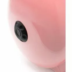 WILTEC Pièce Détachée Originale Bouchon De La Valve Schrader Pour Réservoir à Vessie De 24 - 100L -Wiltec Boutique 14904560 3