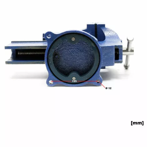 WILTEC Étau D’atelier Heavy Duty Mâchoire De Serrage 200 Mm & Enclume Pour Contrainte Importante Établi 7 WILTEC Étau D’atelier Heavy Duty Mâchoire De Serrage 200 Mm & Enclume Pour Contrainte Importante Établi – Image 5