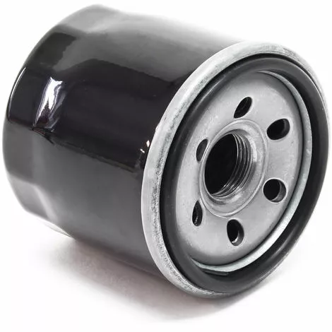 WILTEC Cartouche De Filtre à Huile De Rechange Moteur à Essence 4 Temps De 15,5 KW (20,4 CV) LIFAN 2V78F-3 3 WILTEC Cartouche De Filtre à Huile De Rechange Moteur à Essence 4 Temps De 15,5 KW (20,4 CV) LIFAN 2V78F-3