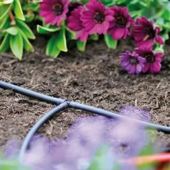 WILTEC Hozelock Pièce T De 4mm Pour Irrigation Goutte à Goutte, 10pcs, Pour Système D’irrigation EasyDrip 5 WILTEC Hozelock Pièce T De 4mm Pour Irrigation Goutte à Goutte, 10pcs, Pour Système D’irrigation EasyDrip -Wiltec Boutique 30940898 2