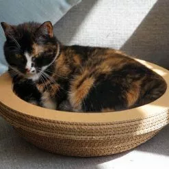 WILTEC Griffoir Rond Plat Carton Meuble Pour Chat Entretien De Griffes Grattoir Patin à Gratter Animaux -Wiltec Boutique 54811369 3