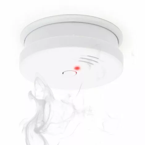 WILTEC 10 Detecteurs De Fumee Alarme Avertisseur Anti Incendie Pile 9v Certifie En 1460 6 WILTEC 10 Detecteurs De Fumee Alarme Avertisseur Anti Incendie Pile 9v Certifie En 1460 – Image 4