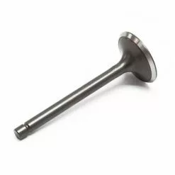 WILTEC Pièce Dètachée Soupape D'admission Moteurs Essence 13 CV